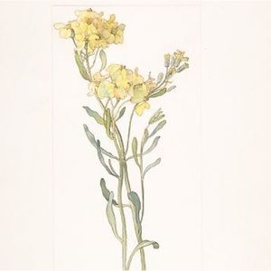 Meet your Posher, Jackson